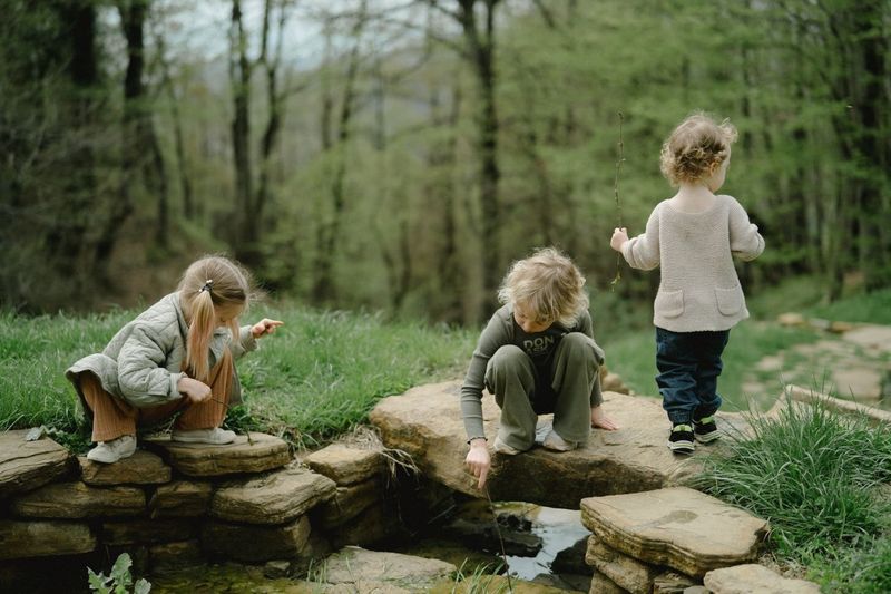 Toddlers exploring a woodland stream, crouching and stepping across flat stones.