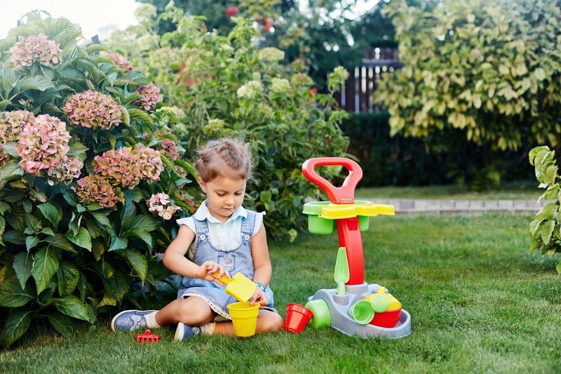 A toddler girl sitting on a lawn playing with toys beside pink hydrangeas.